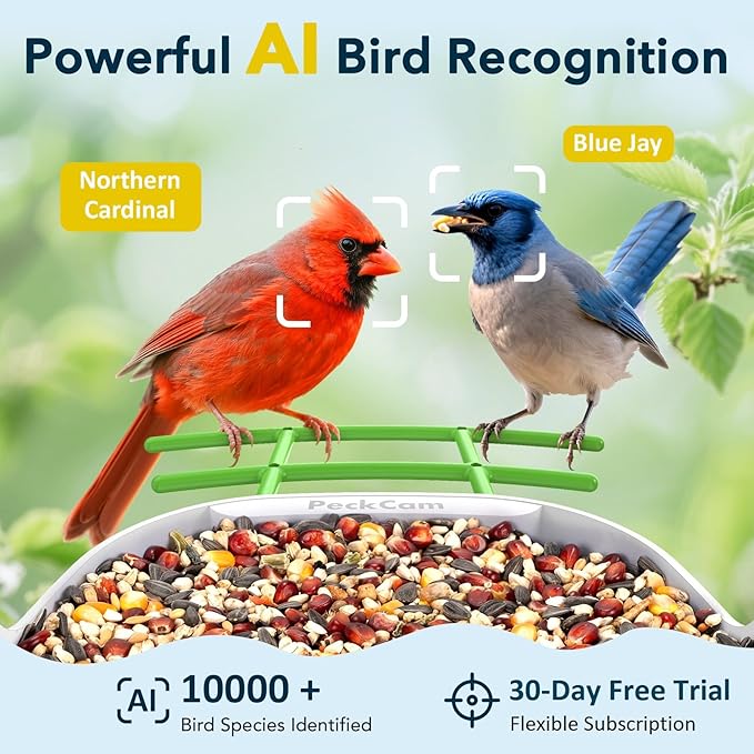 Smart Bird Feeder with Camera 2K Live Real-Time Alert AI Identify with 32G Card DIY Attachments Camera Bird Feeder Solar Powered Wireless Outdoor Birdwatching Gift for Birds Lover, Green
