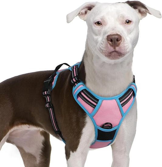 rabbitgoo Dog Harness No Pull with 2 Leash Clips, Adjustable Soft Padded, Reflective Oxford No Choke Pet Vest with Easy Control Handle for Large Dogs, Pink & Blue, XL