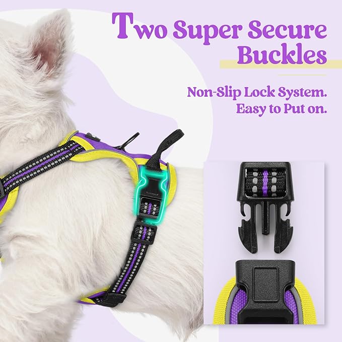 rabbitgoo Dog Harness No Pull with 2 Leash Clips, Adjustable Soft Padded, Reflective Oxford No Choke Pet Vest with Easy Control Handle for Puppy, Purple & Yellow, XS