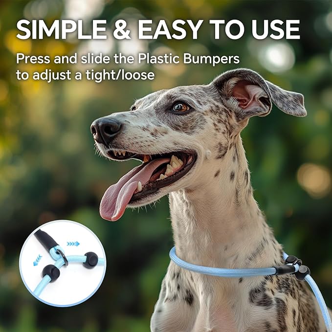 QQPETS Adjustable Slip Lead Dog Leash, Hands Free Waist Leash for Dog Walking, Reflective Training Lead with 360° Swivel Anti-Tangle, 4-7 ft Length for All Breeds