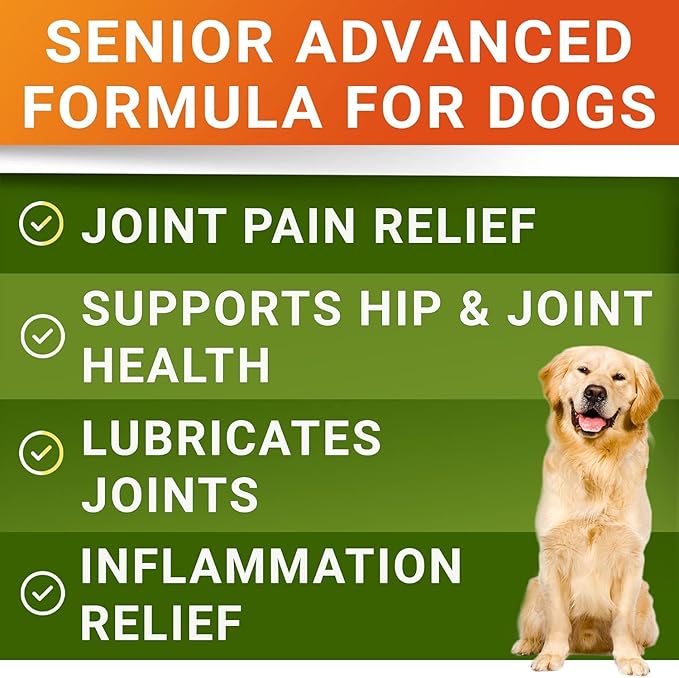Senior Advanced Glucosamine Chondroitin Joint Supplement for Dogs - Hip & Joint Pain Relief Pills - Large & Small Breed - Hip Joint Chews Canine Joint Health - Chews Older Dogs - Bacon Flavor - 360Ct