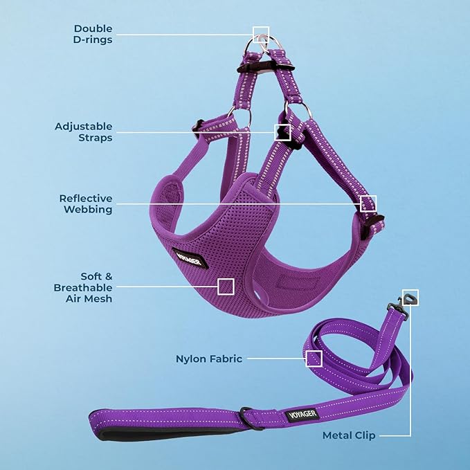 Best Pet Supplies Voyager Mesh Dog Breathable Harness Reflective Stitching, All Weather Adjustable for Walking Training, or Running - Heavy Duty & Durable, Harness Leash Set (Purple), M