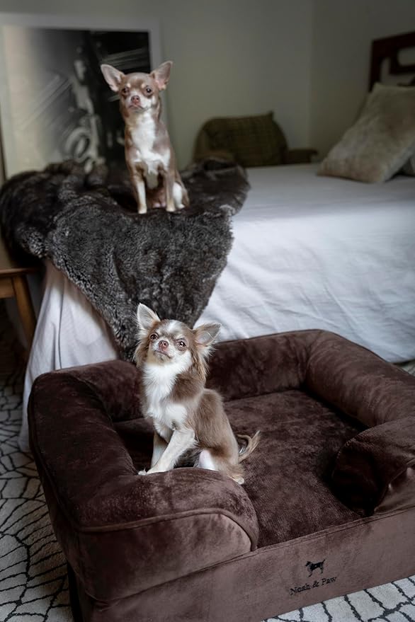 NOAH & PAW Dog Bed, 28x23x11 Inch, Orthopedic Dog Beds for Medium Size Pets, Eggshell Memory Foam Infused with Cooling Gel, Inner Cover, Waterproof, Machine Washable (Velvet Sofa Collection)