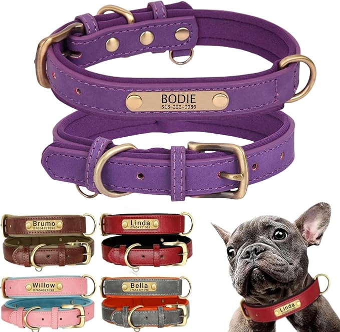 Leather Dog Collar Personalised and Leash Set, Personalized with Soft Padded Design Heavy Duty Featuring Custom Engraved Name Plate for Small Medium and Large Dogs