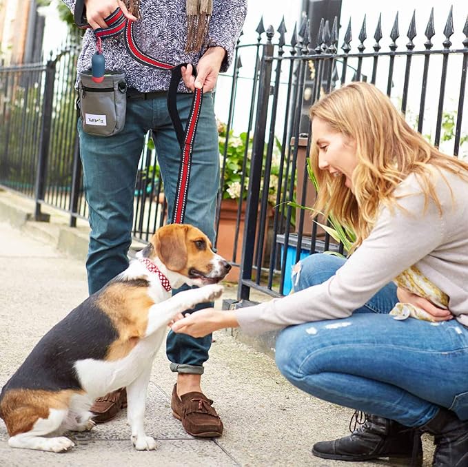 JSXD 5 FT Heavy Duty Double Handle Dog Leash with Comfortable Padded and Reflective Rope, Suitable for Small, Medium, Large Dogs (Wide-Red)