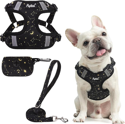 PUPTECK Dog Harness and Leash Set Small Sized, Step in No Pull Adjustable Puppy Cat Harness Reflective Pet Vest