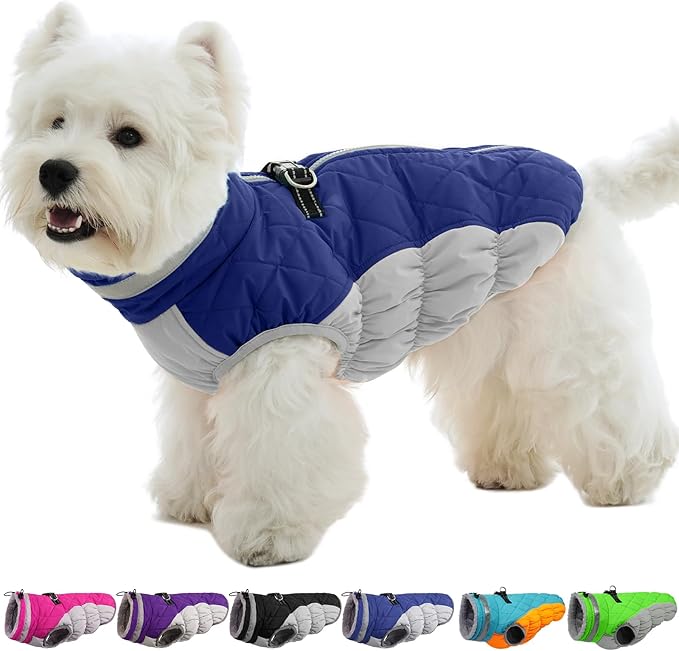 Small Dog Coat,Dog Jackets for Small Dogs,Warm Winter Jacket, Puppy Coat with Harness Built in,Waterproof Dogs Jacket,Puppy Cold Weather Coats,Pet Winter Clothes Snowsuit Shih Tzu Bichon,Blue