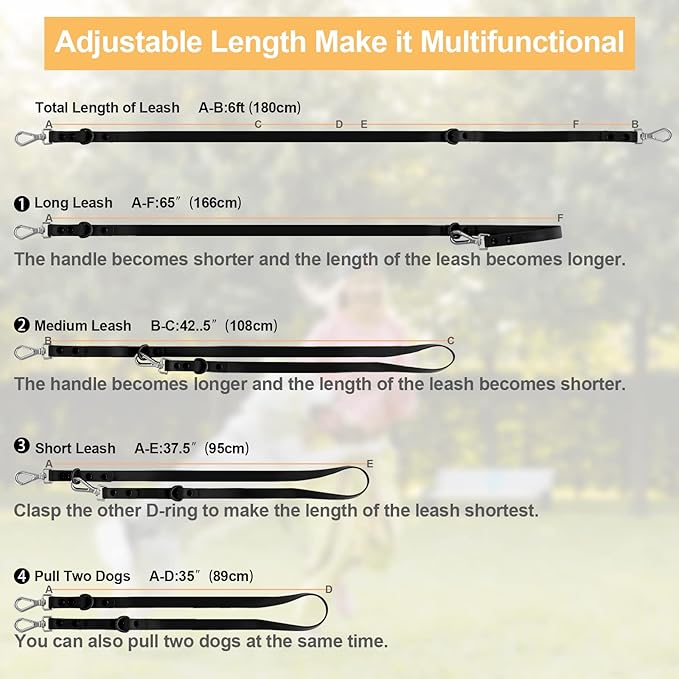 Wisedog Waterproof Dog Leash – 5ft/6ft Adjustable with 2 Metal Swivel Hooks, Easy to Clean Dog Leashes for Small, Medium, Large Breed Dogs (Black L)