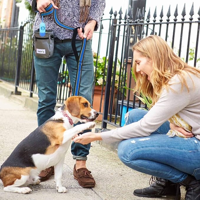 JSXD Heavy Duty Double Handle Dog Leash - 5 FT with Comfortable Padded and Reflective Rope, Suitable for Small, Medium, Large Dogs (Wide-Blue)