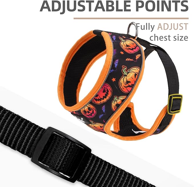 PUPTECK Soft Mesh Dog Harness and Leash Set Pet Puppy Cat Comfort Padded Vest No Pull Harnesses, Halloween Orange, S