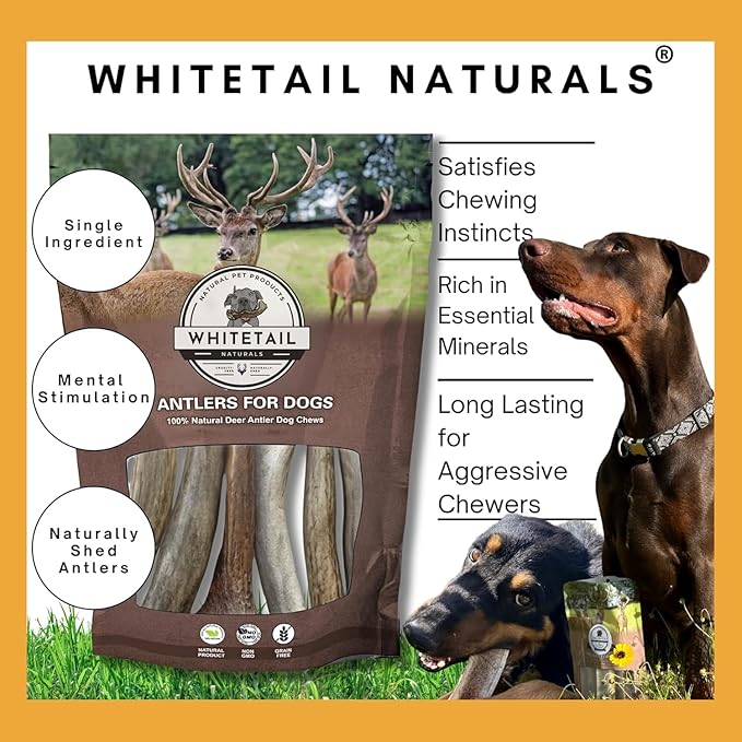 WhiteTail Naturals - Antlers for Extra Small Dogs (6 Pack) Deer Antler Dog Chew Bones for Extra Small Aggressive Chewers - Long Lasting Horn Chew Toys - Naturally Shed