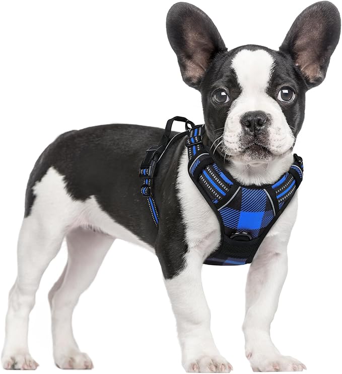 rabbitgoo Dog Harness No-Pull, Comfortable Padded Plaid Harness with Handle Easy Control, Adjustable Reflective Pet Vest with 2 Leash Clips for Small Dog, Blue Plaid, S