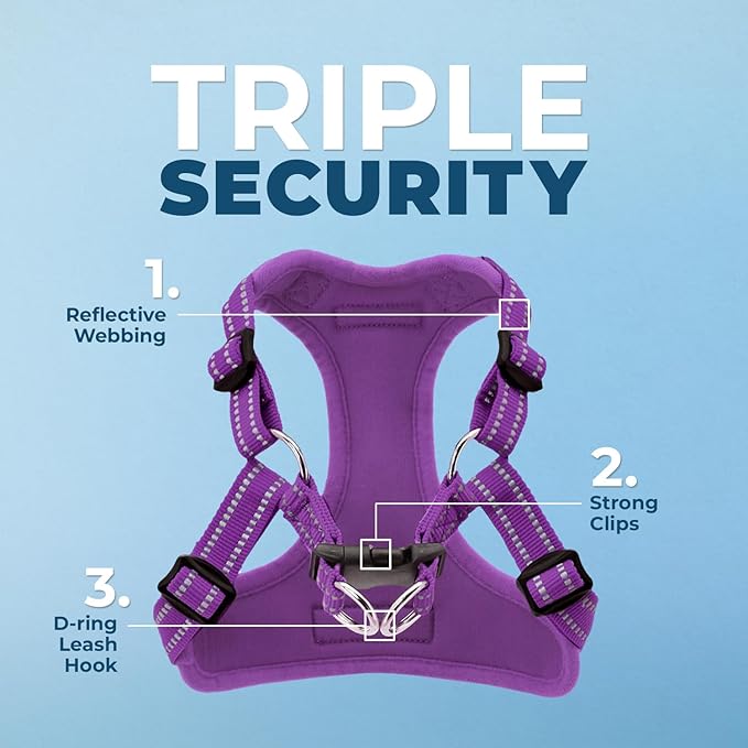 Best Pet Supplies Voyager Mesh Dog Breathable Harness Reflective Stitching, All Weather Adjustable for Walking Training, or Running - Heavy Duty & Durable, Harness Leash Set (Purple), L