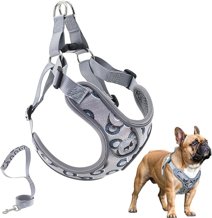 Dog Frenchie Harness with Leash Set, No Pull Adjustable Step in Vest Harness for Medium Dogs Walking and Running (M, Gray with Circle)