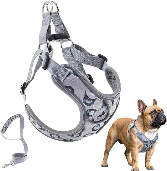 Dog Harness with Leash Set, No Pull Adjustable Step in Dog Harness Vest Harness for Large Dogs Training and Running (L, Gray with Circle)