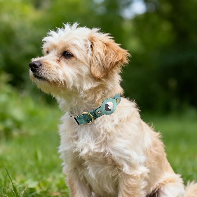 AirTag Dog Collar for Small Dogs Puppy - Soft Leather Dog Collar with Apple AirTag Holder and Metal Buckle - Smart Tracker GPS Apple Air Tag Pet Collars(Green, S)