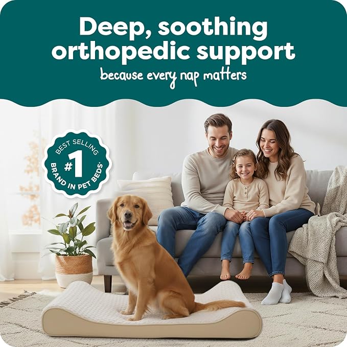 FurHaven Orthopedic Dog Bed for Large Dogs, Luxe Lounger Contour Mattress with Solid Orthopedic Foam Slab for Joint Support, Removable Washable Cover, Jumbo XL, Plush Suede, Cream