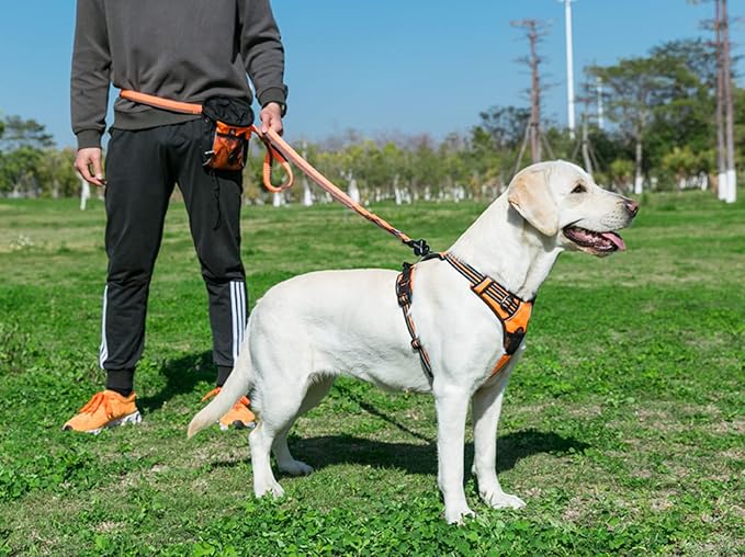 TRUE LOVE Adjustable No-Pull Dog Harness Reflective Pup Vest Harnesses Comfortable Control Brilliant Colors TLH5651(Orange,L)