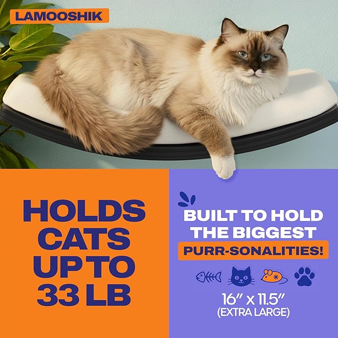 Cat Wall Shelves, Black Finish – Floating Cat Furniture with Curved Bed & Steps | Modern Minimalist Wood Climbing Shelves Set of 4 for Indoor Cats, Sturdy Wall-Mounted Design