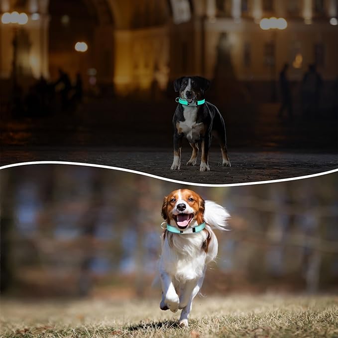 Custom Glow in The Dark Dog Collar with Name & Phone Number, Personalized Reflective Dog Collar for Small Medium Large Dog, Light Up Pet Collar with Engraved ID Tag