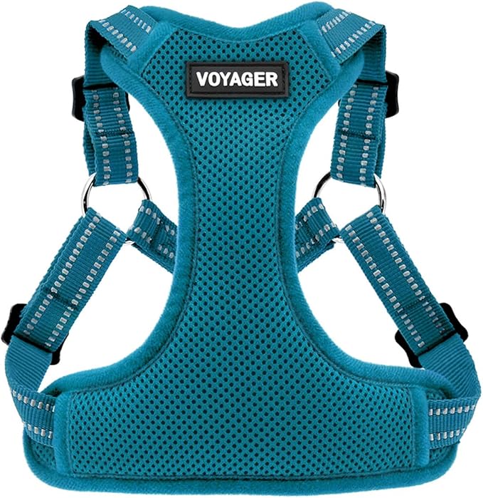 Best Pet Supplies Voyager Mesh Dog Breathable Harness Reflective Stitching, All Weather Adjustable for Walking Training, or Running - Heavy Duty & Durable, Harness (Turquoise), S