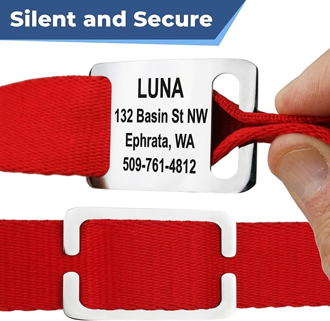 GoTags Dog Collar with Personalized Nameplate, Adjustable Dog Collar with Custom Engraved Slide On Pet ID Tag in Stainless Steel, Silent, No Noise Dog Tag Small to Large Unique Colors