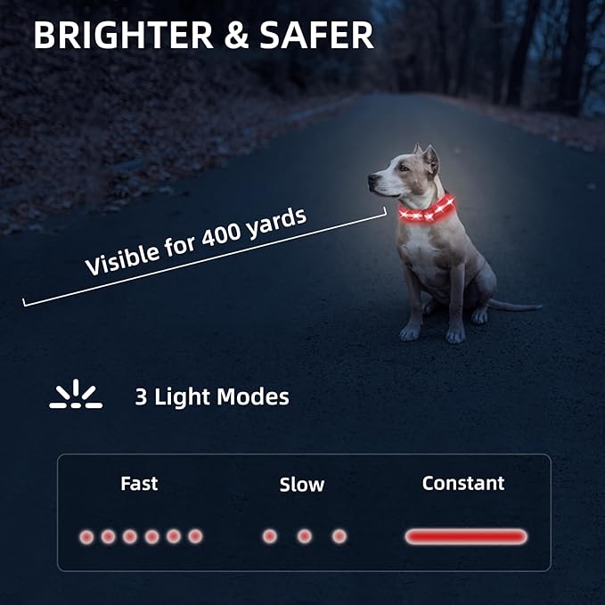 Super Bright LED Dog Collar - Fully Waterproof & Adjustable Glow Collar - USB-C Rechargeable for Night Walking, Safety - Flashing Lighted Collar for Dogs(Red,Medium)