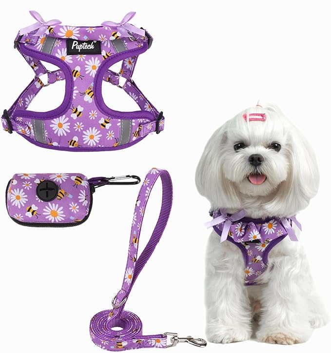 PUPTECK Dog Harness and Leash Set Small Sized, Step in No Pull Adjustable Puppy Cat Harness Reflective Pet Vest
