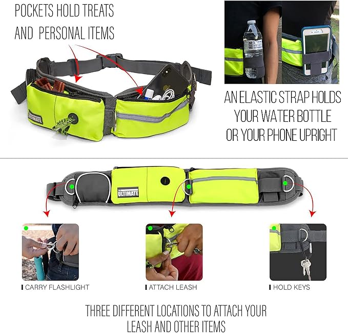TAKSIN The Ultimate Hands Free Dog Leash System for Walking Running Hiking Training, Reflective Bungee Leash, Treat Holder, Poop Bag Dispenser for Small Medium Large Dogs (Yellow Pack)