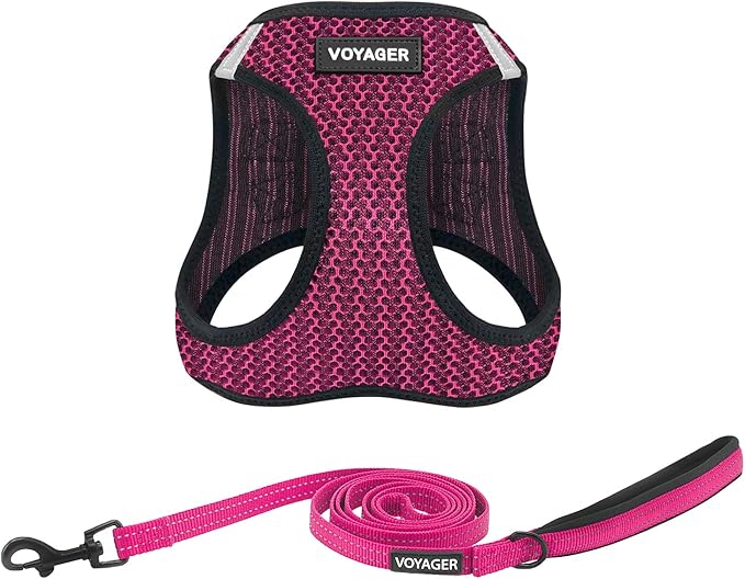 Voyager Step-in Air All Weather Mesh Harness and Reflective Dog 5 ft Leash Combo with Neoprene Handle, for Small, Medium and Large Breed Puppies by Best Pet Supplies - Fuchsia (Leash Bundle), L