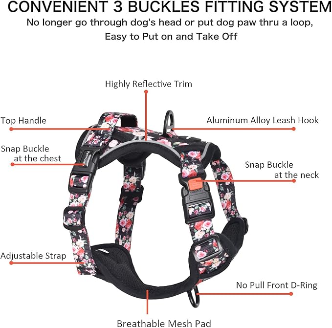 Petmolico No Pull Dog Harness Set with Leash Attachment Easy Control Handle Reflective Harness Vest Small Breed, Puppy Vest and Leash Set with Poop Bag Holder, Small - Red White Flower