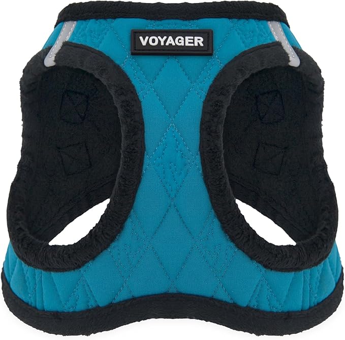 Best Pet Supplies - All Weather Mesh/Plush, Reflective, No Pull Harness for Small, Medium Dogs, Cats - Secure with Hook & Loop Fastener, Buckle, Double D-Rings - Turquoise Plush, XS