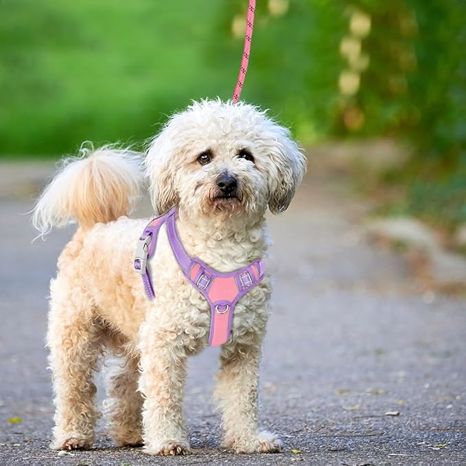 BARKBAY No Pull Dog Harness Large Reflective Dog Harness with Front Clip and Easy Control Handle for Walking Training Running with ID tag Pocket(Baby Pink & Violet Purple,XS)