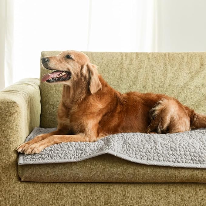 PAULATO BY GA.I.CO. Waterproof Blanket – 24x67” Changing Absorbent Pad for Incontinence – Machine Washable Stain-Resistant Protector for Couch Sofa or Bed – Reusable Waterproof Cover