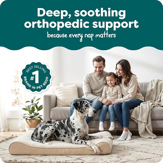 FurHaven Orthopedic Dog Bed for Large Dogs, Luxe Lounger Contour Mattress with Solid Orthopedic Foam Slab for Joint Support, Removable Washable Cover - Jumbo Plus XXL, Plush Suede, Cream