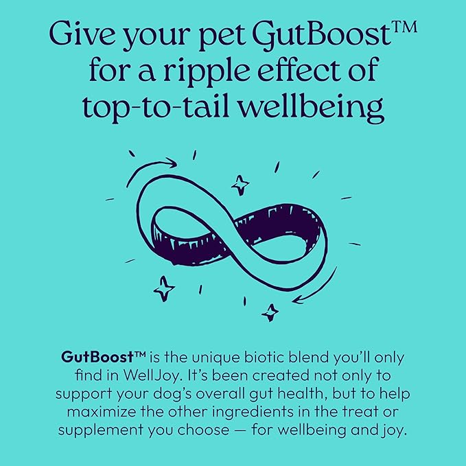 WellJoy Dog Treat Joint+ GutBoost | Glucosamine | Healthy Joints & Cartilage | Dual-Benefit GutBoost Formulation | Vet Formulated | Made in USA | Made with Real Shredded Chicken | 30 Soft Chews
