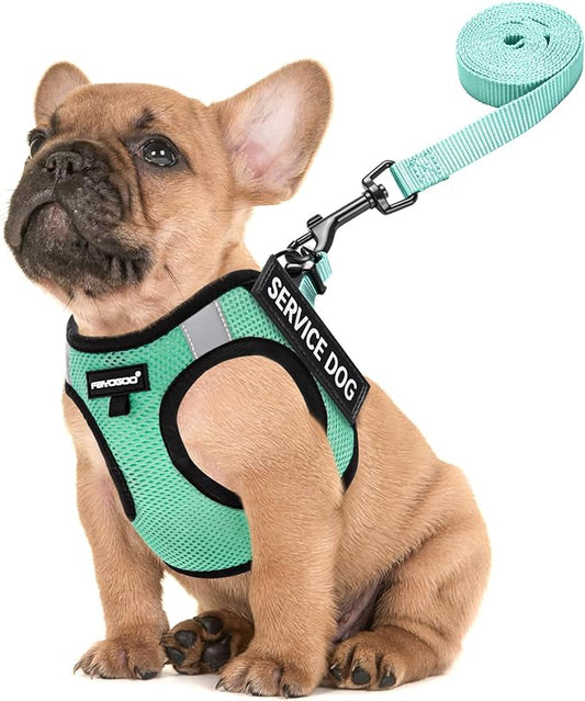 FAYOGOO Dog Harness for Small Dogs - Lightweight Service Dog in Training Harness with 6PCS Removable Patches - Puppy Harness for Walking Training
