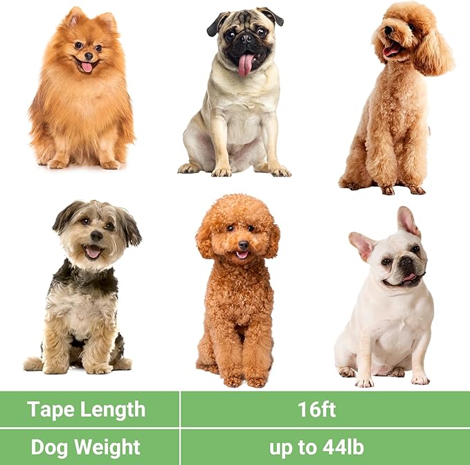 Segarty Extendable Dog Leash, 16ft Heavy Duty Walking Dog Leash for Medium Small Dogs up to 44lb, Anti-Slip Handle 360°Tangle-Free Nylon Tape, One-Handed One Button Lock and Release (Green)