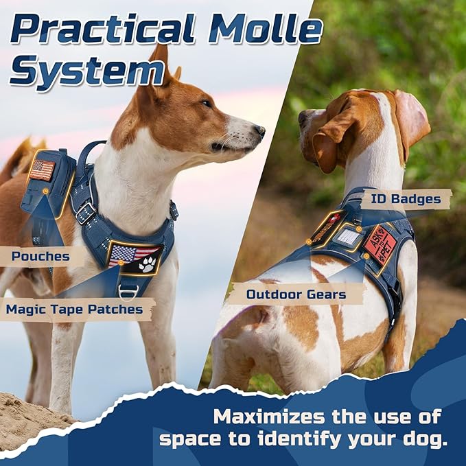 rabbitgoo Dog Harness No Pull, Military Dog Harness Medium Sized Dog with Handle & Molle, Easy Control Service Dog Vest Harness Training Walking, Adjustable Reflective Tactical Pet Harness, Blue, M