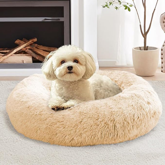 JOLLYVOGUE Calming Small Dog & Cat Bed for Indoor Cats - 20 inches Washable Donut Bed for Kittens & Puppies, Anti-Anxiety Round Fluffy Plush Pet Beds (Fits up to 15 lbs, Off White)