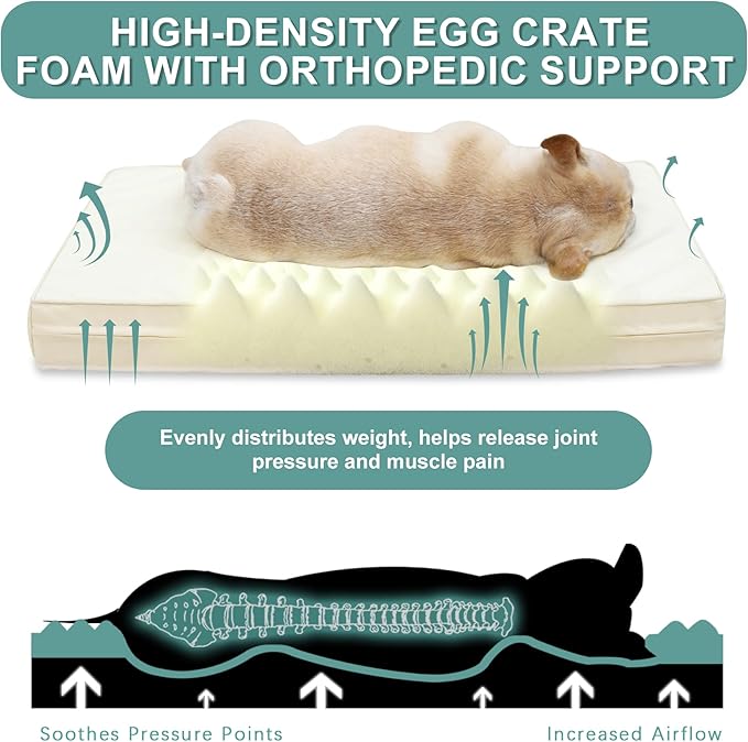 Vonabem Waterproof Dog Beds Medium Sized Dog, Washable Crate Pad 30 inch, Orthopedic Foam Pet Bed with Removable Cover Reversible, Anti-Slip Puppy Kennel Pad, 29"x18", Beige