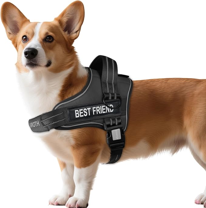 AUROTH Dog Harness No Pull Soft Padded Service Dog Vest, No Choke, Easy On Pet Vest with Handle, Adjustable Reflective Dog Harness for Small, Medium and Large Dogs, Easy Walking and Training