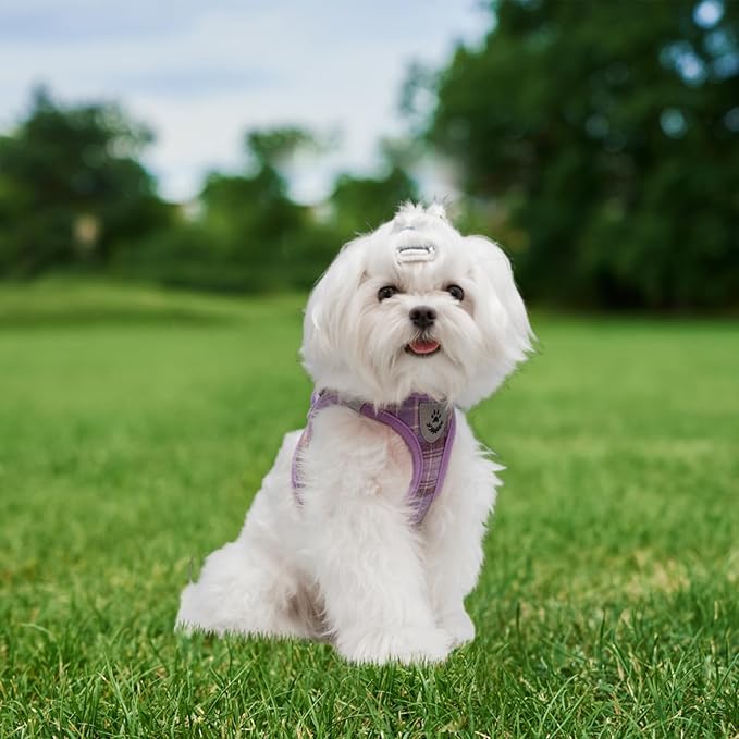 EXPAWLORER Classic Plaid Puppy Harness - Small Dog Harness and Leash Set - Dog Collar and Leash Set with AirTag Holder, Soft Padded Step in Dog Vest Harness No Pull Reflective for Outdoor, Purple S