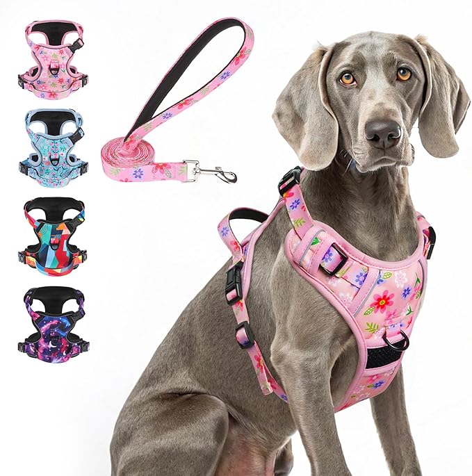BEAUTYZOO No Pull Dog Harness and Leash Set with 2 Metal Leash Clips - Overhead-Free 3 Snap Buckles Design, Adjustable No-Choke Soft Padded Reflective Oxford Pet Vest for Small Medium Large Dogs, XL