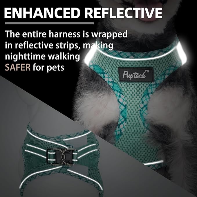 PUPTECK Dog Harness and Leash Set for Small Medium Dogs No Pull Step-in Soft Mesh Puppy Cat Vest Harnesses Reflective at Night, Upgraded New Green XS