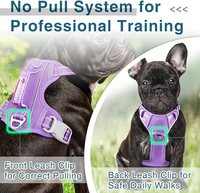 BARKBAY Dog Harness No Pull with ID Tag Pocket - Heavy Duty, Reflective, Easy Control for Large Dogs(Violet Purple,XS)