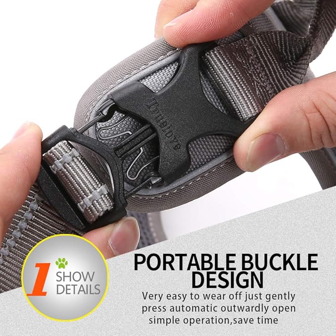 Truelove No Pull Dog Harness with Easy Control Handle and 2 Leash Attachments,Reflective Adjustable Pet Vest