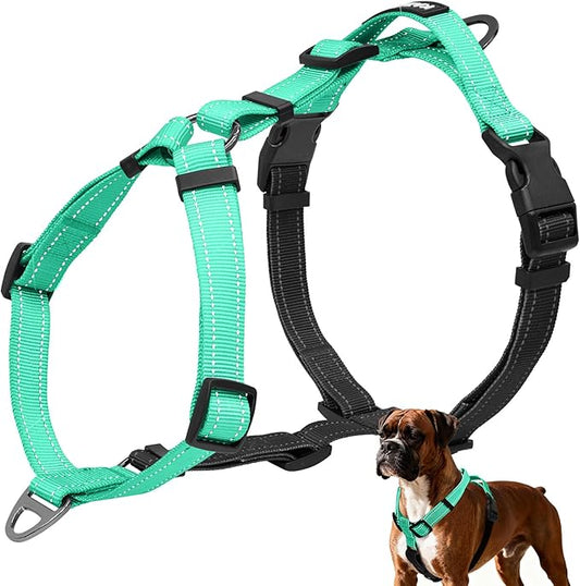 No-Pull Harness,Y-Shaped Design,Buckle-Neck Balance Harness with Reflective Stitching, Ideal for Dog Training and Night Walking, Padded Handle, Durable High-Tensile Nylon-Aqua Green-S