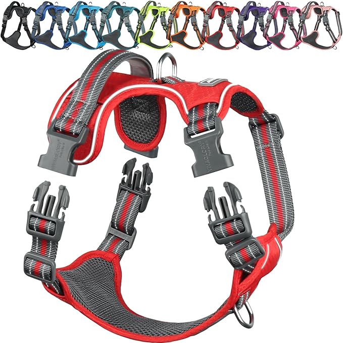 VIVAGLORY Dog Harness Easewalk No Pull Dog Harness with Handle & Front Back Clip for Training Lifting, Easy On Adjustable Padded No Pull for Pet & Puppy, M, Red