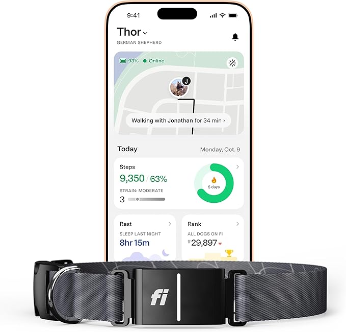 New Fi Series 3+ Smart Dog Collar - GPS Dog Tracker and Activity & New Fitness Monitor, Waterproof, LED Light, Escape Alerts, Nationwide Coverage [Free 6 Month Membership] (Gray, X-Large)